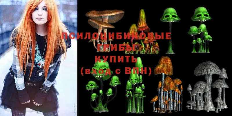 Галлюциногенные грибы Magic Shrooms  наркошоп  Нерчинск 